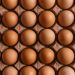 Brown eggs in a carton, an ingredient reference for sheet pan egg sandwiches