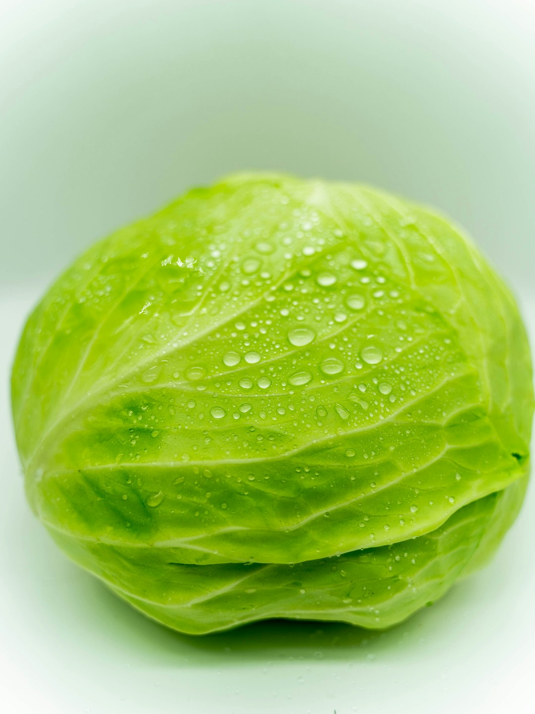 Whole green cabbage with droplets of water