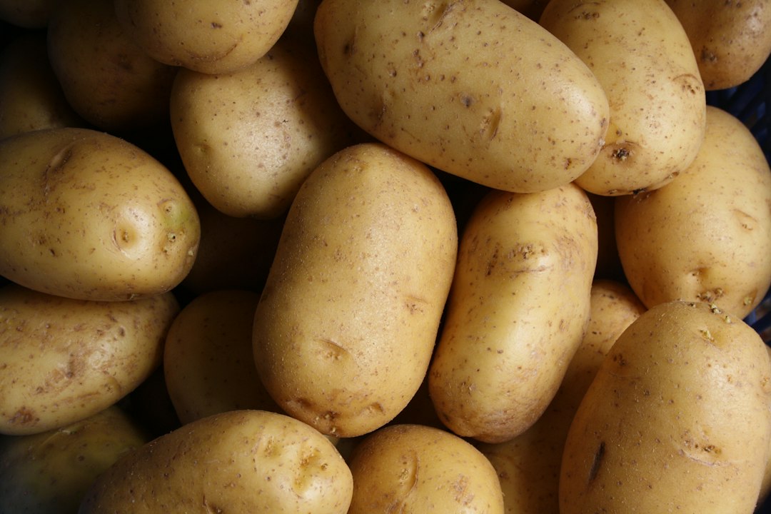 Whole potatoes for small batch white bean potato soup without cream