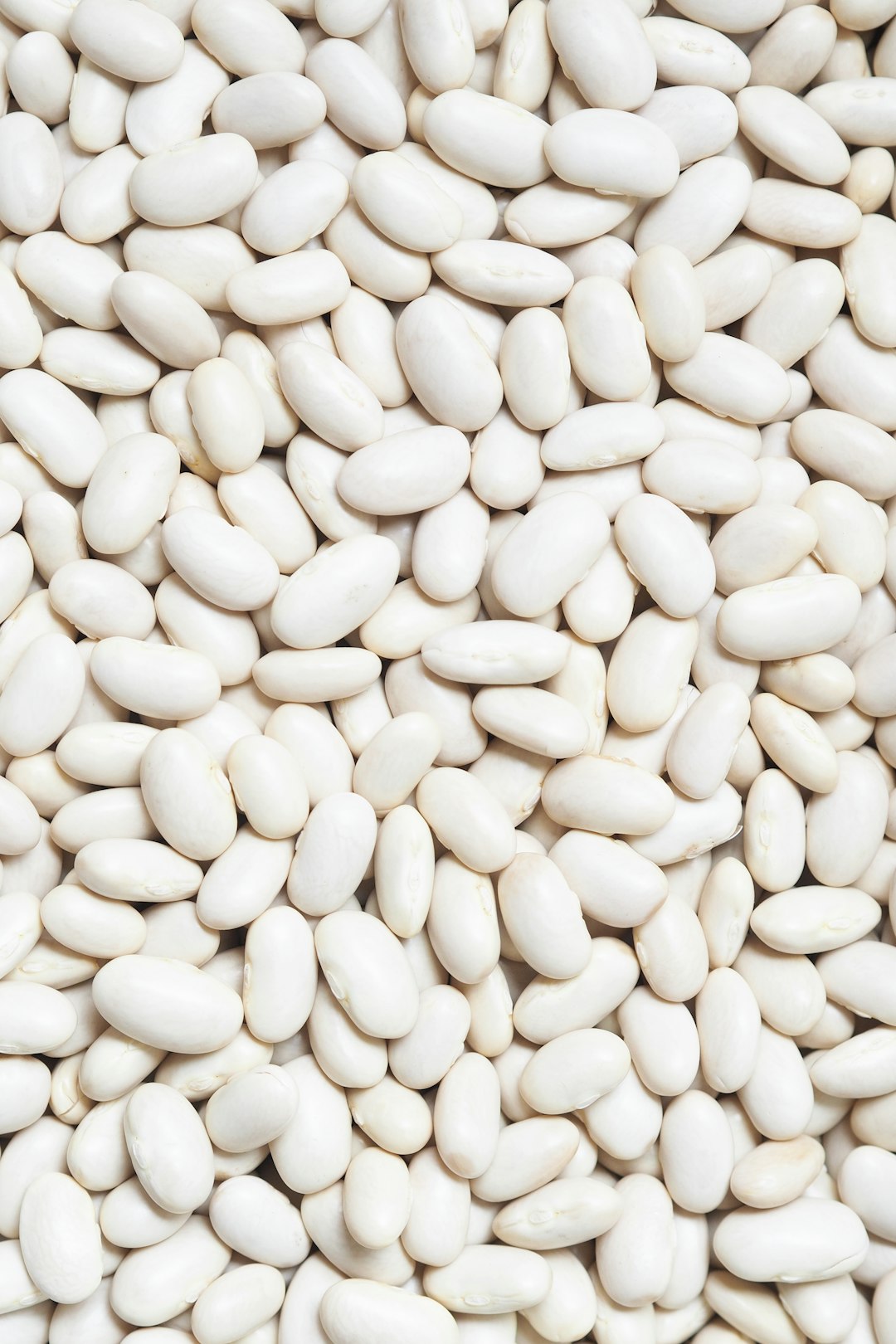 Dry white beans as an ingredient reference for butter bean toast without tomatoes; the recipe uses cooked canned butter beans