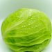 Whole green cabbage with water droplets for cabbage pasta with canned white beans without cream