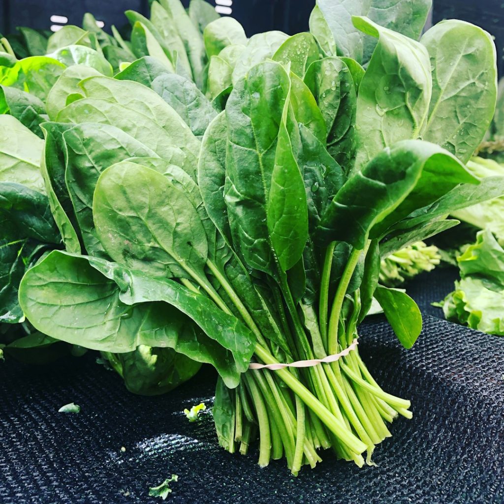 Fresh spinach ingredient reference for couscous with canned lentils and frozen spinach
