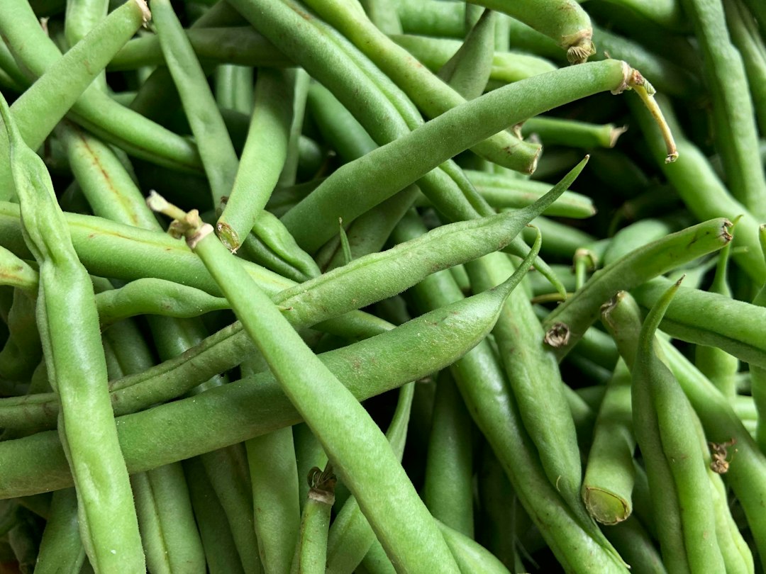 Fresh green beans shown as an ingredient reference for sheet pan gnocchi with frozen green beans