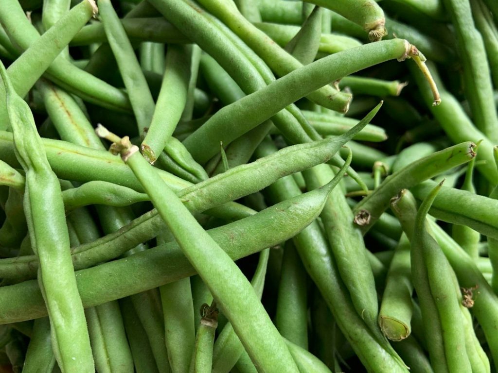 Fresh green beans for potato green bean and white bean salad without mayo