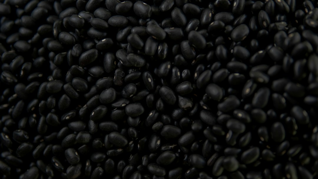 Dry black beans as an ingredient reference for small batch canned pumpkin black bean soup without cream
