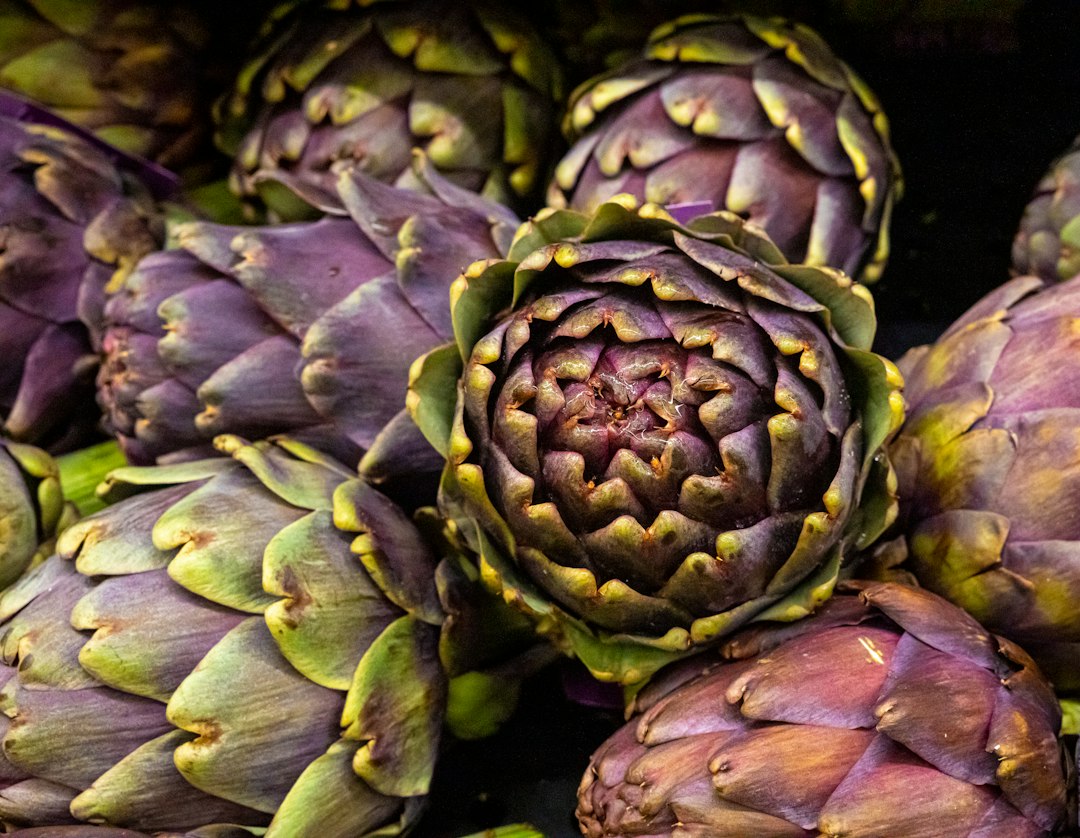 Fresh artichoke — ingredient illustration for air fryer frozen artichoke hearts without breading